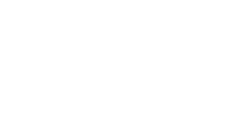 stick-styles-logo-w